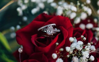 Wedding Planner Near Me