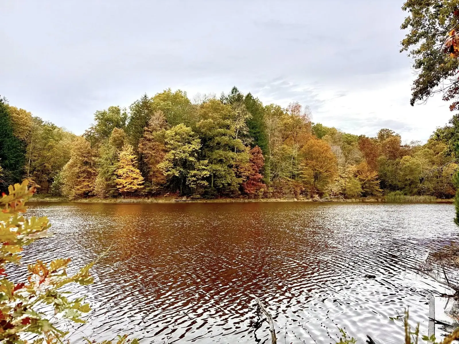 Fall colors over Strahl Lake in Brown County State Park, Nashville, Indiana